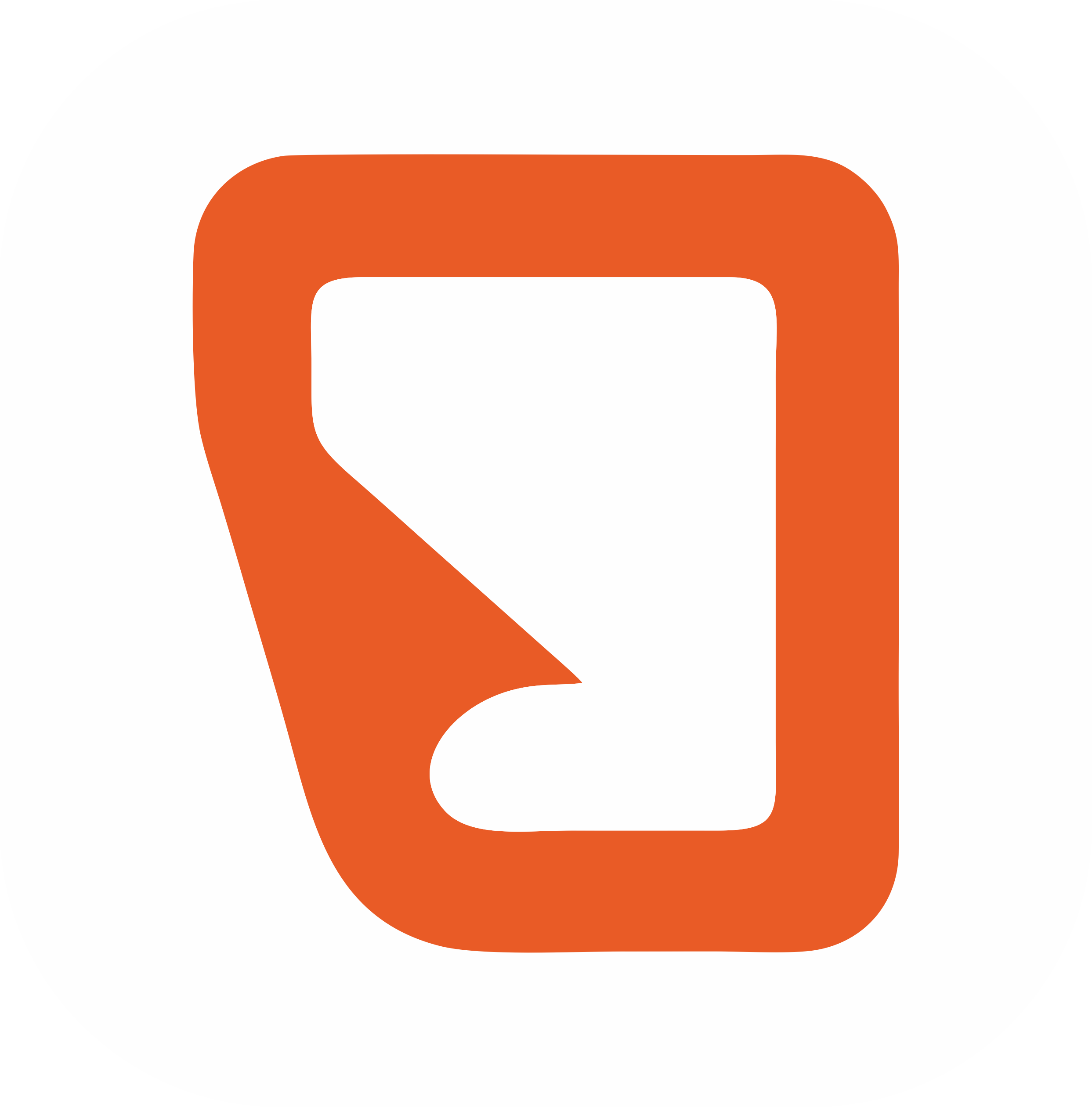 Footer Logo